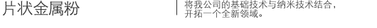 片状金属粉|将我公司的基础技术与纳米技术结合,开拓一个全新领域。